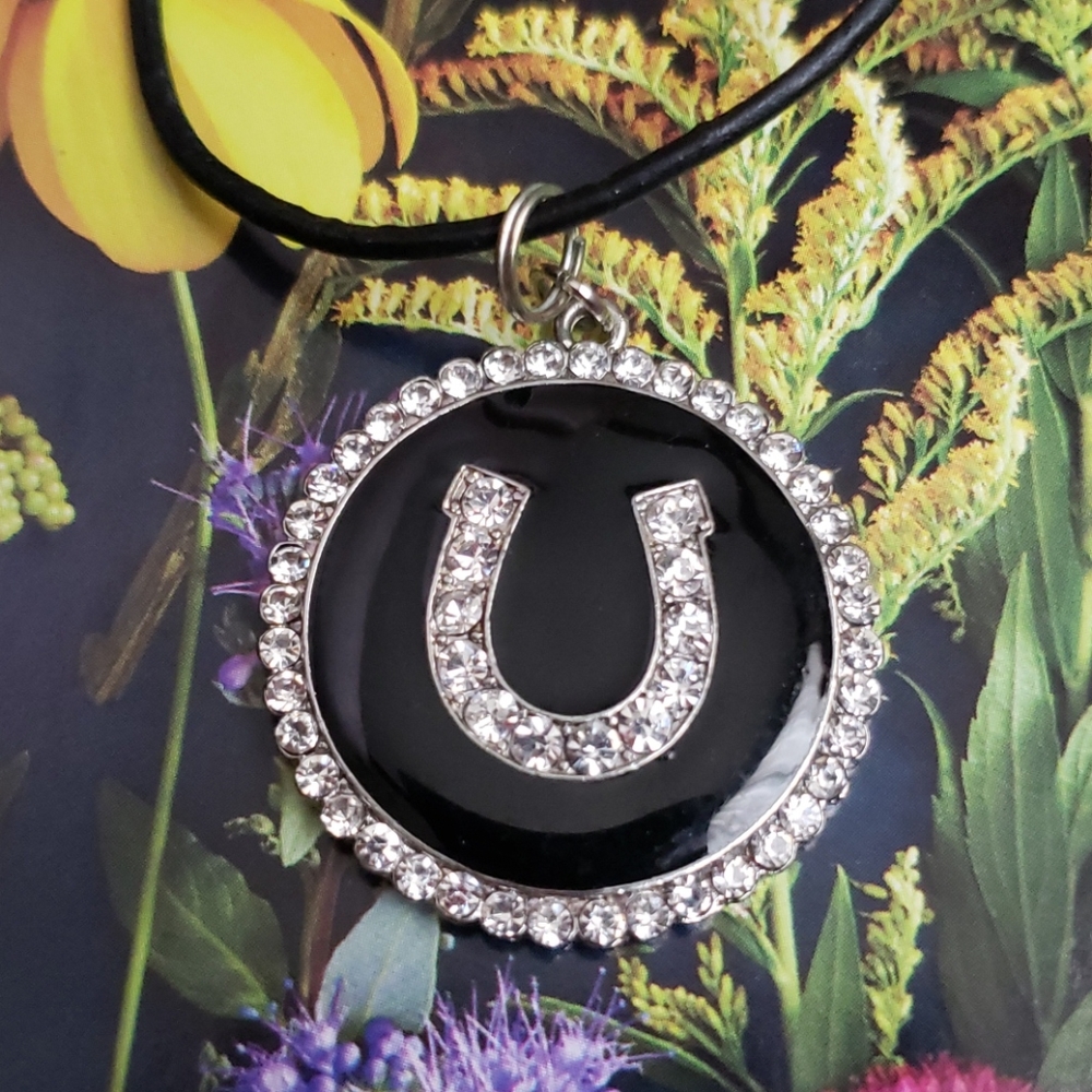 NWOT Horseshoe Necklace